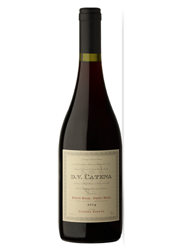 VINO DV CATENA PINOT-PINOT 750CC
