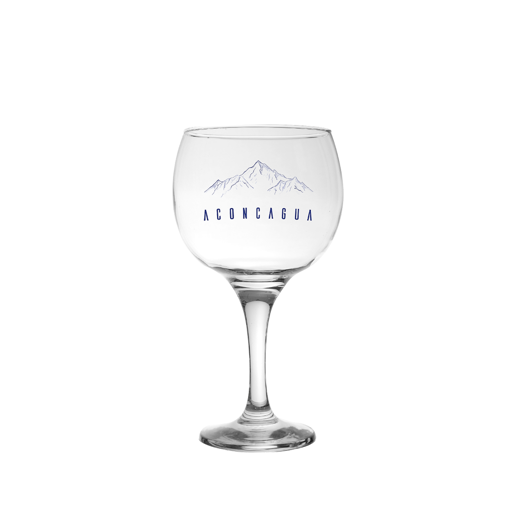 COPON GIN ACONCAGUA 600CC