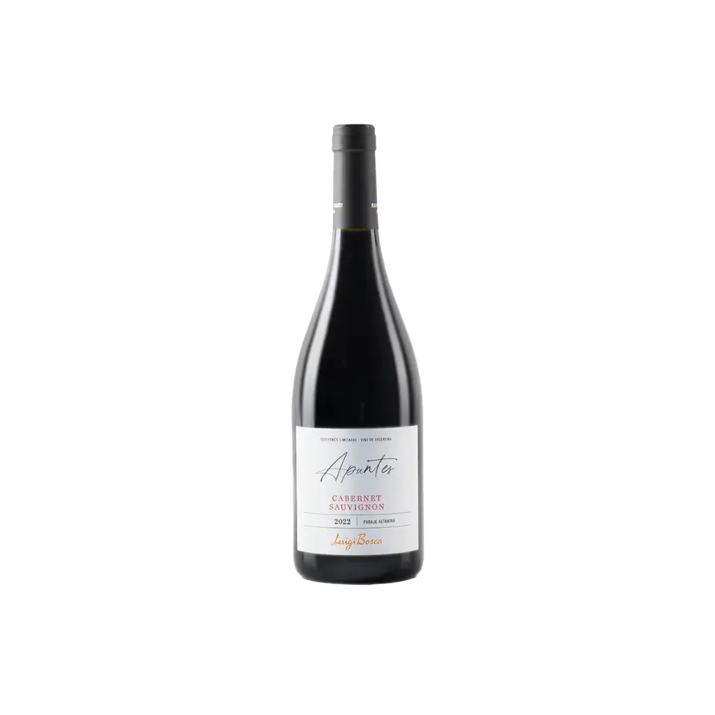 VINO APUNTES CABERNET SAUVIGNON PARA ALTAMIRA 2022 750CC