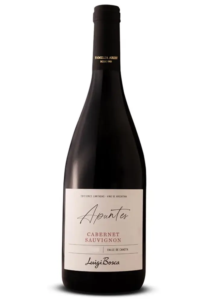 VINO APUNTES CABERNET SAUVIGNON VALLE DE CANOTA 2021 750CC 