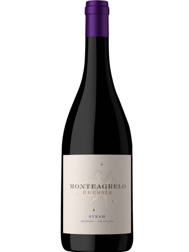 VINO MONTEAGRELO SYRAH 750CC