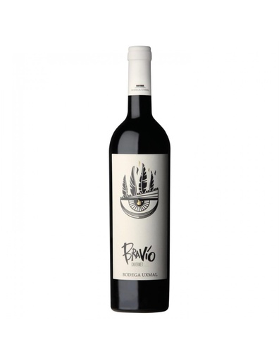 VINO BRAVIO CABERNET SAUVIGNON 750CC