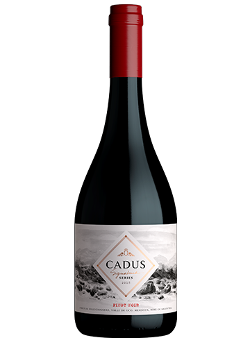 VINO CADUS SIGNATURE PINOT NOIR 750CC