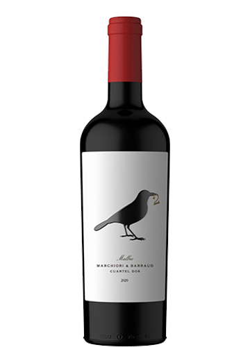 VINO MARCHIORI & BARRAUD CUARTEL DOS 750CC