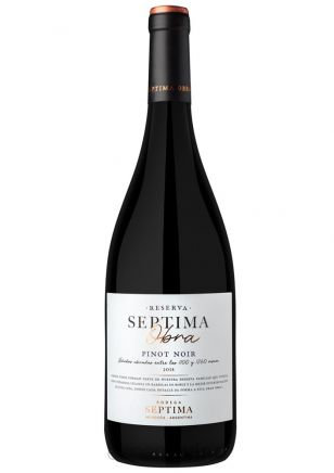VINO SEPTIMA OBRA PINOT NOIR 750CC