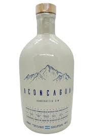 GIN ACONCAGUA BOTELLON CERAMICO 950CC
