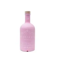 GIN ACONCAGUA ROSA RED BERRIES 750CC