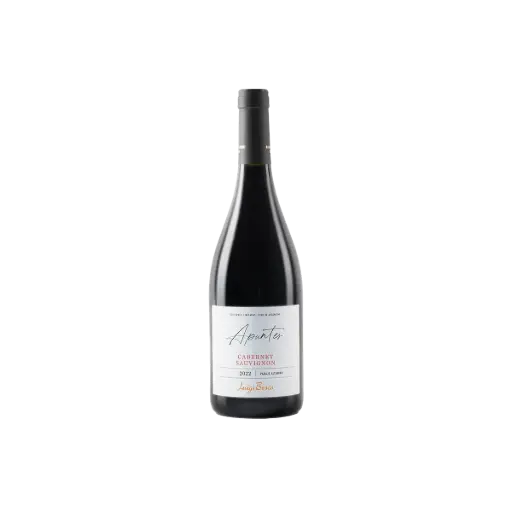 VINO APUNTES CABERNET SAUVIGNON PARA ALTAMIRA 2022 750CC