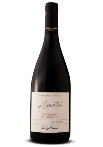 VINO APUNTES CABERNET SAUVIGNON VALLE DE CANOTA 2021 750CC 