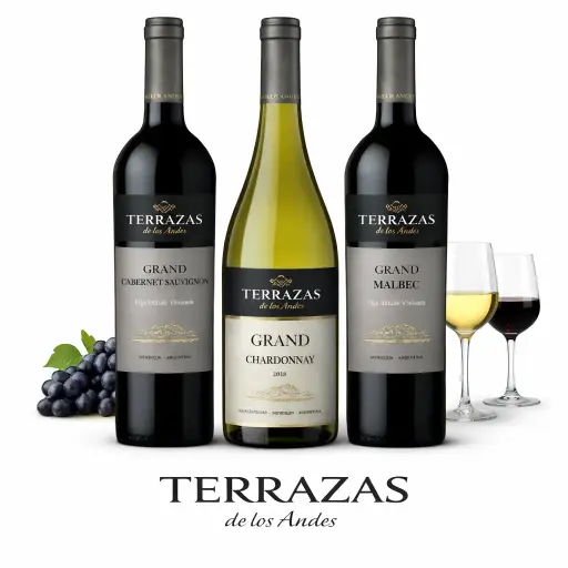 COMBO VINO TERRAZAS DE LOS ANDES GRAND 2 + 1